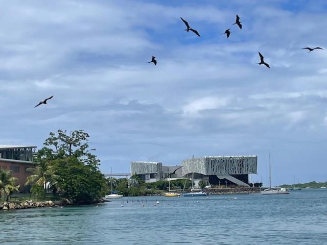 La Canopee Enchantee, Chambres D'Hotes, Piscine, Proche Aeroport, Gare Maritime Les Abymes Exteriör bild